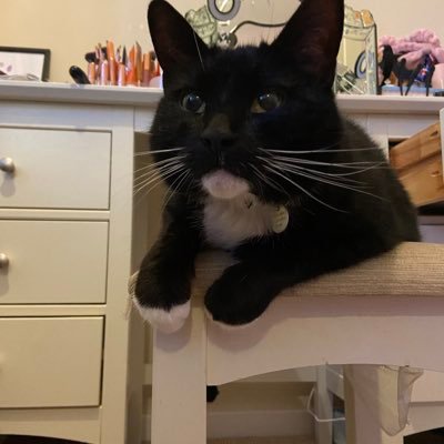 Nikkijarvis's profile picture. 