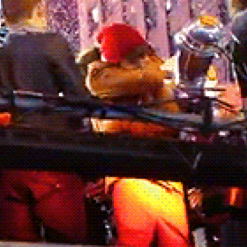 TheJarmArmy's profile picture. Supporting Justin Bieber and his arms relationship since 1/1/12  the day when they took their relationship public.