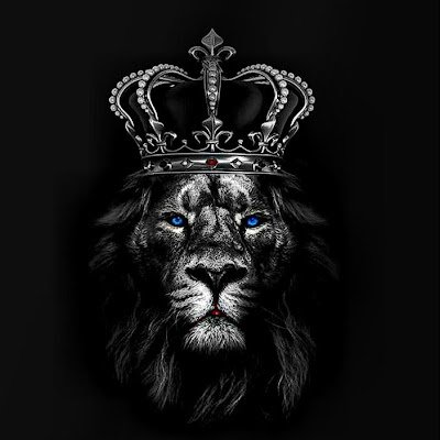 TejasBharad's profile picture. 