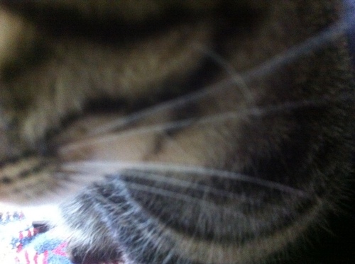 to090915's profile picture. 