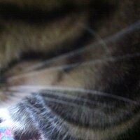 TOMOHIRO OKADA (@to090915) 's Twitter Profile