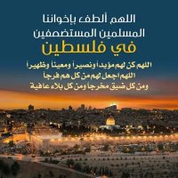 Ismail Mohammed (@ismmoh12) 's Twitter Profile