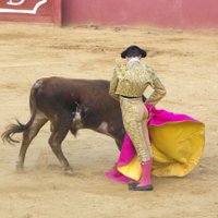 Ignacio Sabater Parejo (@ignaciosabaterp) 's Twitter Profile