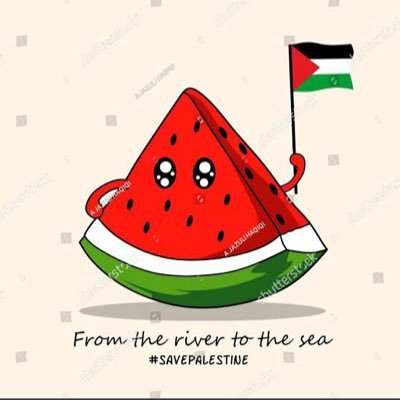 Emilyastuty's profile picture. From the river to the sea… Palestine will be free… 🇵🇸