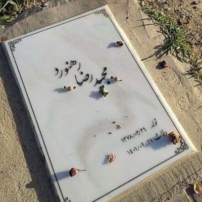 zohrehir's profile picture. فقط براندازفالومیکنم اگه براندازنیستی منتظربک نباش