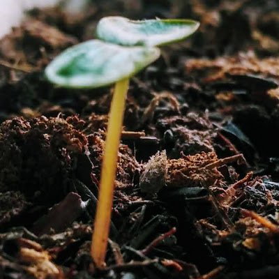 DariixRdx99's profile picture. 
