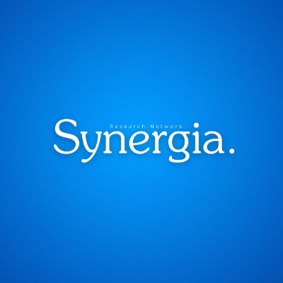 NetworkSynergia Profile Picture