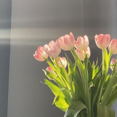 Ginmishel's profile picture. 