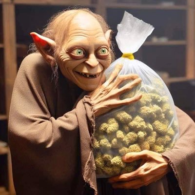 Atheist 💡 🏳️🌈/tried 24/7. Weed is the best of the best 🍁 //nfsw.BDSM .A26