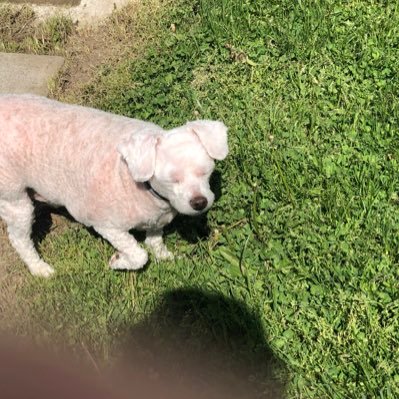 Phooey__'s profile picture. 23