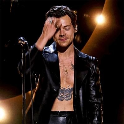 Actor| Singer| Song writer| Fashion Virtuoso| Roleplay/Parody| Not Harry Styles.
