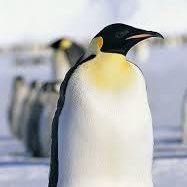 Taco1325398's profile picture. 28m