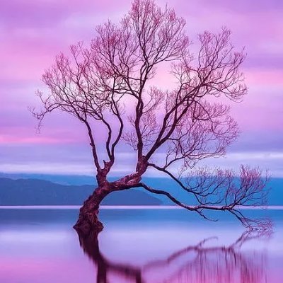 fikotonsta's profile picture. @AngryDynomites