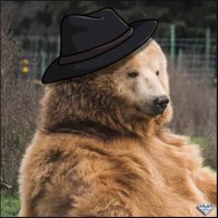 King bear ⚡️🌱 (@legolaselrond) 's Twitter Profile
