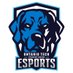 OTSU Esports (@otsu_esports) Twitter profile photo OTSU Esports (@otsu_esports) Twitter profile photo