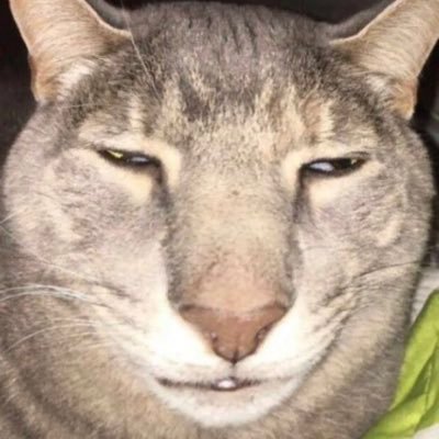 Spoonies_'s profile picture. It’s not so bad