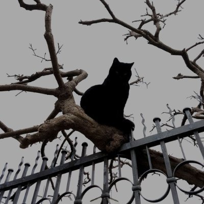 EdySedano666's profile picture. una vida desordenada, pero, vivida.
 horror y ansiedad supongo.