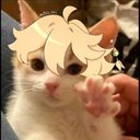 Neil Howard - @NeilHoward47396 - Twitter