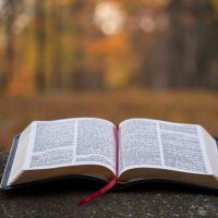 Feed on the Bible (@kennyforchrist) 's Twitter Profile Photo Feed on the Bible (@kennyforchrist) 's Twitter Profile Photo