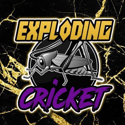 ExplodinCricket Profile Picture