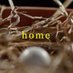 HOME THE DOCUMENTARY (@pigeon_men) Twitter profile photo HOME THE DOCUMENTARY (@pigeon_men) Twitter profile photo