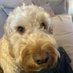 Alan (@kramjm1977) Twitter profile photo Alan (@kramjm1977) Twitter profile photo