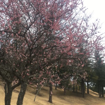 既婚者50歳男でも大丈夫なら仲良くして下さい。  一緒に楽しい時を過ごしませんか