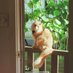 Alfie Reid (@alfiereidcat) Twitter profile photo Alfie Reid (@alfiereidcat) Twitter profile photo