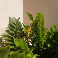 Mr Rhema, Omo Ologo (@buffbaby99) 's Twitter Profile Photo