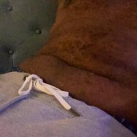 Dee Brogue (@deebrogue) 's Twitter Profile