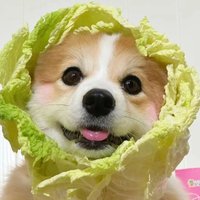ina (@thetith192087) 's Twitter Profile