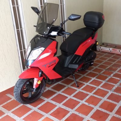 ParisVelez65874's profile picture. 