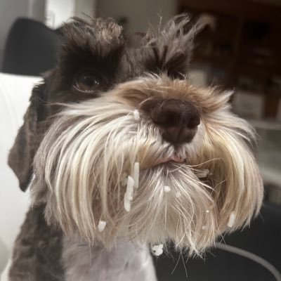 __tacoman's profile picture. 