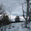 Emma Satterfield - @ESatterfie49021 - Twitter