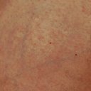 Paula Garza - @PaulaGarza63526 - Twitter