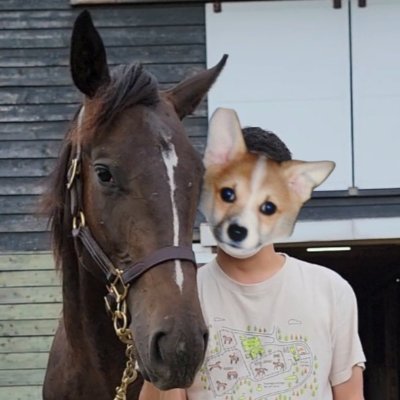 街の酒屋勤務
一口馬主→ユニオン
🐴シトロンヴェールで念願の命名者に😭

好き→お酒、焼酎、日本酒、ラム酒、馬、コーギー、犬、猫、シマリス、料理、激辛、麻婆豆腐、旅行、車、吉田類、風味堂、ダイナ四バンド。
城ドラ→GOD FATHER所属

頚椎症性脊髄症の手術
後遺症残るも人生楽しくをモットーに☺