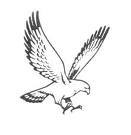 Falcon3011's profile picture. amigista od 1992, AmigaOS, MorphOS, PPC, Demoscene