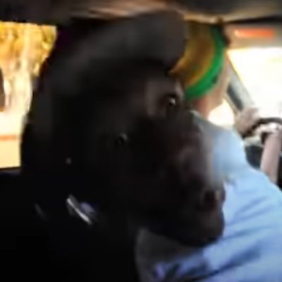 tyler the creator gets buck in the car to flocka