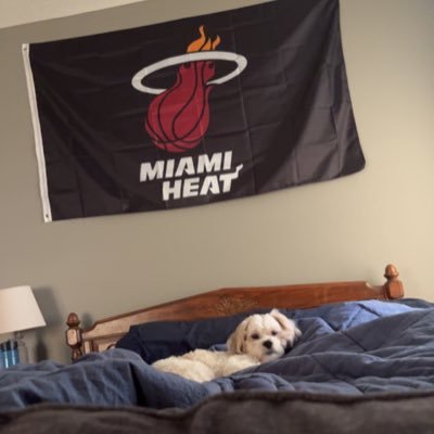 Huskers, Miami Heat, and Detroit Lions fan