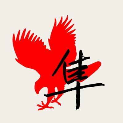 隼Gaming🐦🐦 Profile