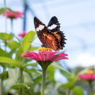 bctcenter's profile picture. 