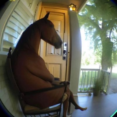 boredzmoment's profile picture. 