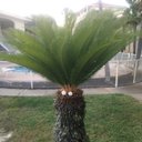 Dan Jost - @jost_dan61253 - Twitter