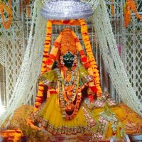 Shri Banke Bihari Ji Vrindavan (@banke_shri) 's Twitter Profile