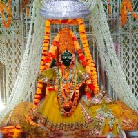 Shri Banke Bihari Ji Vrindavan(@banke_shri) 's Twitter Profileg