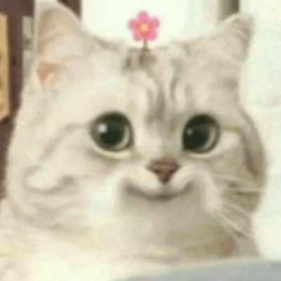 gguk95_'s profile picture. NO RUSH ORDERS ° 3-5 fixing days ° expect no stability 9AM-8:30PM