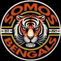Somos Bengals (@somosbengals) 's Twitter Profile