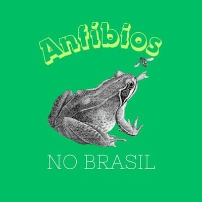 Perfil criado para conscientização sobre os anfíbios do Brasil🇧🇷🐸
📚Técnicos em Meio Ambiente- 2/3

📍nosso insta:@anfibiosnobrasil_