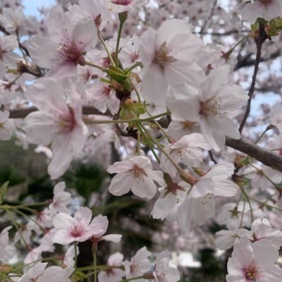 plotwist2022's profile picture. 