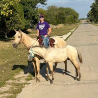 Tina (@tlairvm) 's Twitter Profile